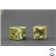 Pierres semi précieuses jaspe tropical - Cubes/8 mm - Rhyolite