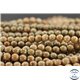 Perles semi précieuses en jaspe - Rondes/8 mm - Autumn