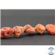 Perles semi précieuses en gorgone corail - Irrégulier/22 mm - Rouge