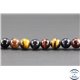 Perles semi précieuses en oeil de tigre - Ronde/8 mm - Multicolore - Grade A