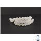 Perles en pierre de Lune arc en ciel du Sri Lanka - Rondes/8mm - Grade AA