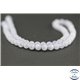 Perles en calcédoine rubanée bleue de Turquie - Rondes/6mm - Grade AA