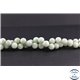 Perles semi précieuses en jade de Birmanie - Ronde/10 mm - Vert pâle