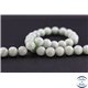 Perles semi précieuses en jade de Birmanie - Ronde/10 mm - Vert pâle