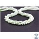 Perles semi précieuses en jade de Birmanie - Ronde/4 mm - Vert pâle