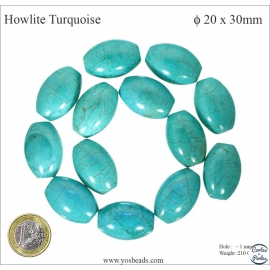 Perles en howlite turquoise - Olives/30mm