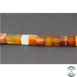 Perles en red agate - Cubes/8mm