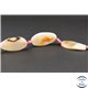 Perles semi précieuses en agate cornaline - Ovales/38 mm