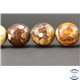 Perles semi précieuses en agate - Rondes/16 mm - Marron