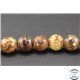 Perles semi précieuses en agate - Rondes/16 mm - Marron