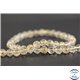 Perles en quartz rutile doré - Rondes/8mm - Grade AB