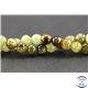 Perles semi précieuses en grenat vert - Ronde/6 mm