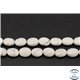Perles semi précieuses en howlite - Ovale/10 mm