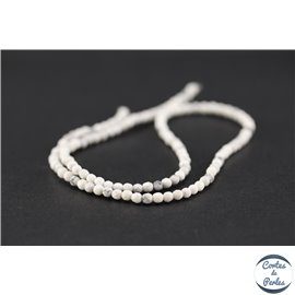 Perles semi précieuses en howlite - Ronde/3 mm