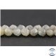 Perles semi précieuses en labradorite - Pépite/5,5 mm