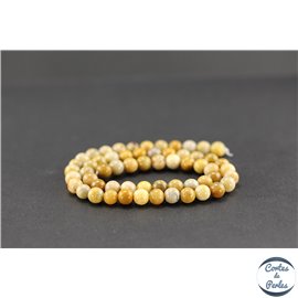 Perles en pierre de fossile beige - Rondes/6mm