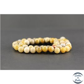 Perles en pierre de fossile beige - Rondes/8mm