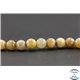 Perles semi précieuses en pierre de fossile - Ronde/8 mm