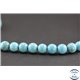 Perles semi précieuses en howlite turquoise - Rondes/8 mm