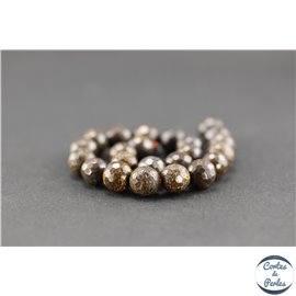 Perles facettées en bronzite - Rondes/8mm