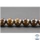 Perles semi précieuses en bronzite - Ronde/10 mm