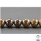 Perles semi précieuses en bronzite - Ronde/10 mm