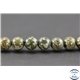 Perles semi précieuses en jaspe crocodile - Ronde/8 mm