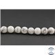 Perles semi précieuses en howlite dépolie - Ronde/10 mm