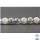 Perles en labradorite dark - Rondes/6mm - Grade A