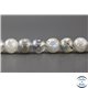 Perles en labradorite dark - Rondes/6mm - Grade A