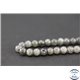 Perles en labradorite dark - Rondes/6mm - Grade A