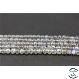 Perles en labradorite - Rondes/4mm - Grade AA