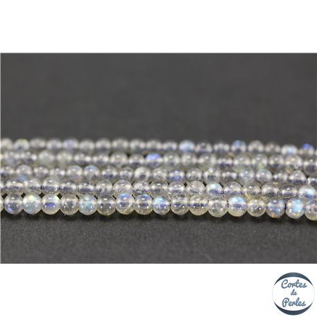 Perles semi précieuses en labradorite - Rondes/4 mm - Grade AA