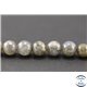 Perles semi précieuses facettées en labradorite - Rondes/10 mm