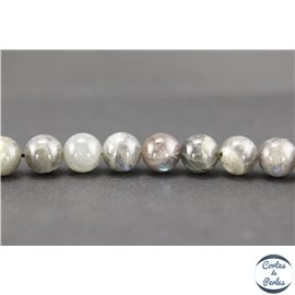 Perles en labradorite - Rondes/10mm - Grade A+