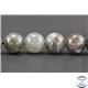 Perles en labradorite - Rondes/10mm - Grade A