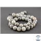 Perles en labradorite - Rondes/10mm - Grade A