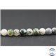 Perles en agate arbre - Ronde/6 mm