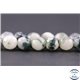 Perles facettées en agate arbre - Ronde/6 mm