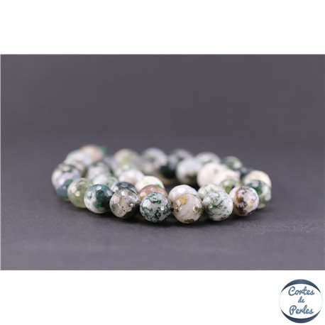 Perles facettées en agate arbre - Ronde/10 mm