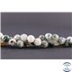 Perles facettées en agate arbre - Ronde/10 mm