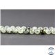 Perles facettées en préhnite - Ronde/8 mm