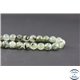 Perles facettées en préhnite - Ronde/8 mm