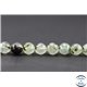 Perles facettées en préhnite - Ronde/8 mm