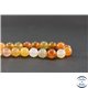 Perles en cornaline - Ronde/10 mm