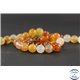 Perles en cornaline - Ronde/10 mm