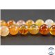 Perles en cornaline - Ronde/10 mm