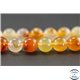 Perles en cornaline - Ronde/10 mm
