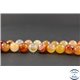 Perles en cornaline - Rondes/12 mm