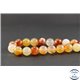 Perles en cornaline - Rondes/12 mm